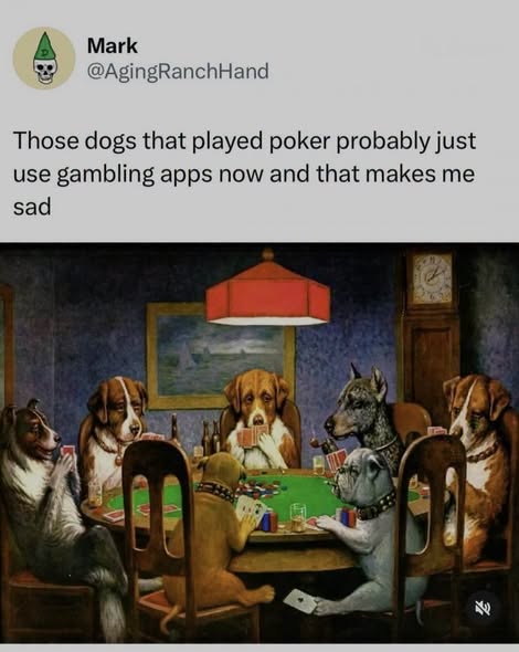 dogs gamble.jpg
